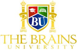 The Brains University