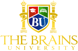 The Brains University